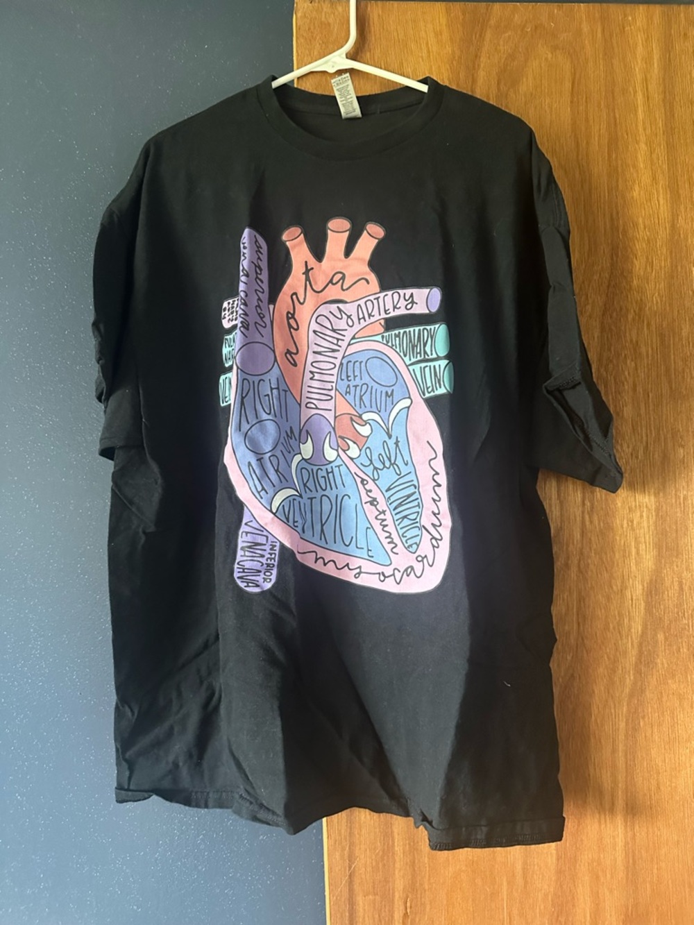 Gildan Black Tee with Pastel Anatomical Heart Graphic
